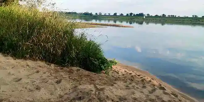 Flusslandschaft an der Elbe 